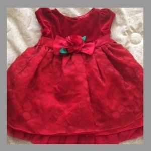 Sweet Heart Rose Special Occasion Dress
